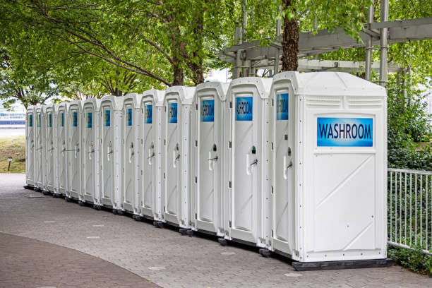 Portable Toilet Options We Offer in Iola, WI